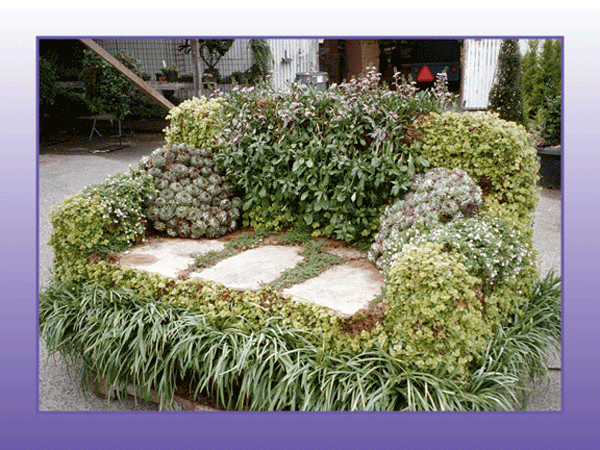 Samia Rose Topiary